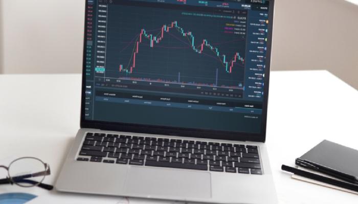 Kripto Para Analisti: Ayı Piyasasında Bu Coinlere Odaklanın!