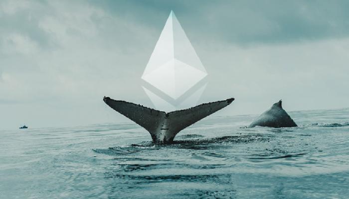 Listeye Dikkat: En Büyük 100 Balina, Bu Altcoin’leri Satıyor!