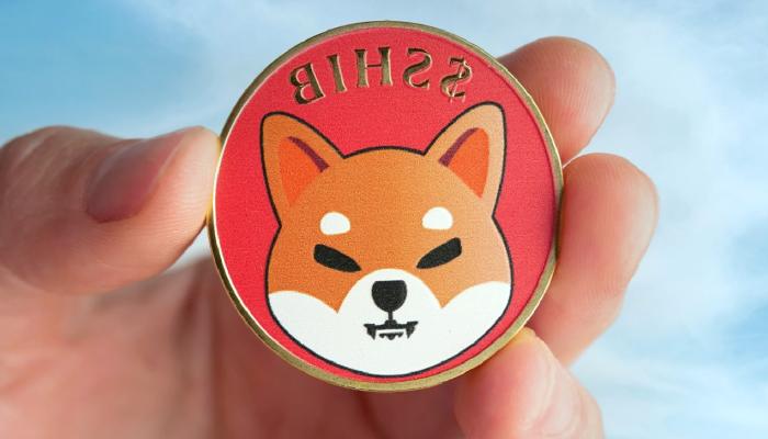 Öngörüler Geldi: SHIB ve Cardano Temmuz’da O Seviyelerde!