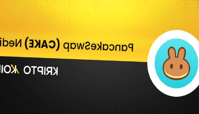 PancakeSwap Nedir? CAKE Coin Ne İşe Yarar?