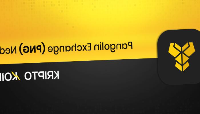 Pangolin Exchange Nedir? PNG Ne İşe Yarar?