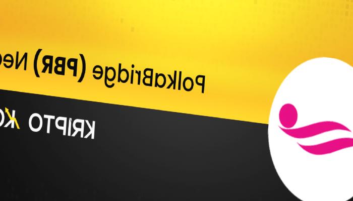 PolkaBridge Nedir? PBR Coin Ne İşe Yarar?