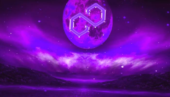 Polygon Adres Sayısı 2. Çeyrekte Yüzde 12 Arttı