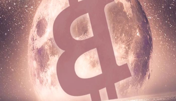 Profesyonel Analist: Bir Sonraki Bitcoin Rallisi Bu Tarihte!