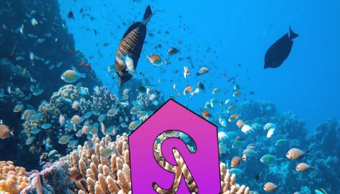 Reef Finance (REEF) Neden Yükseliyor?
