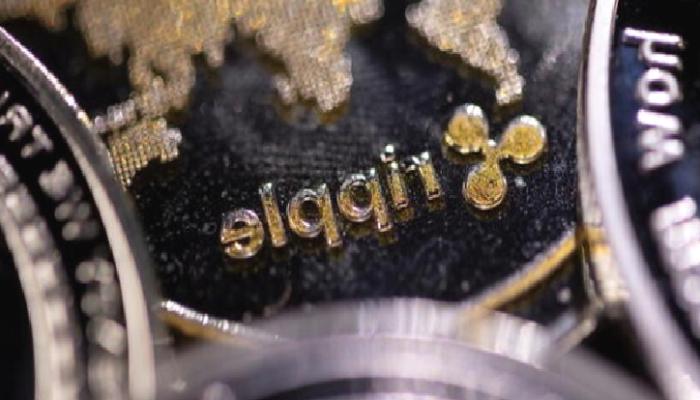 Ripple Yatırımcıları Dikkat: 8 Yıllık Balina Satışı Bitti!