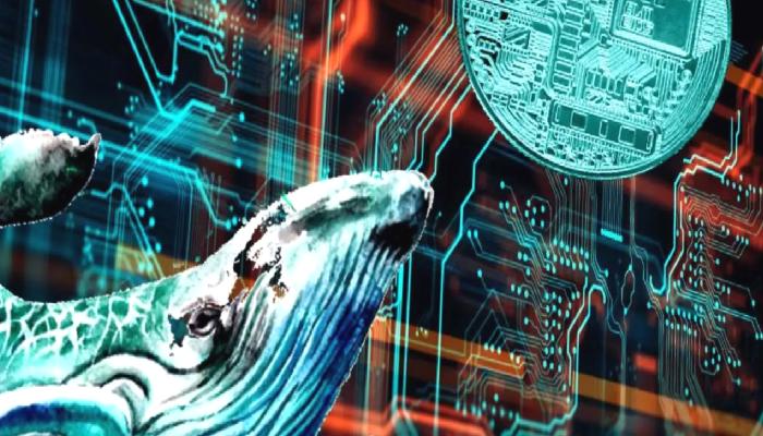 Santiment Uyardı: Bu Altcoin, Borsalara Taşınıyor!
