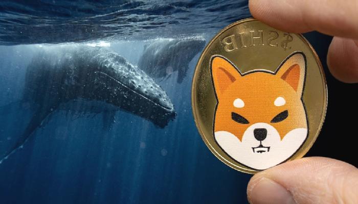 SHIB Alan Akıllı Para, Bu Metaverse Coinleri de Stokluyor!
