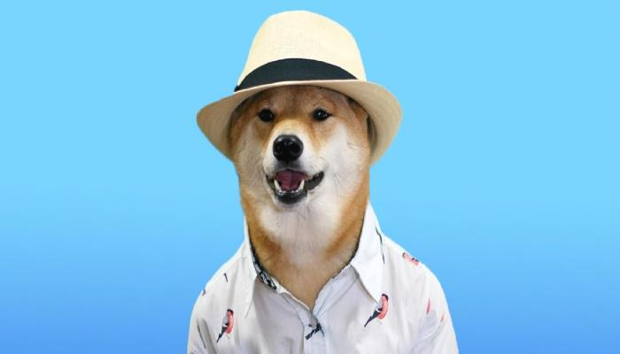 SHIB, DOGE ve Daha Fazlası: Meme Coinler Nereye Gidiyor?