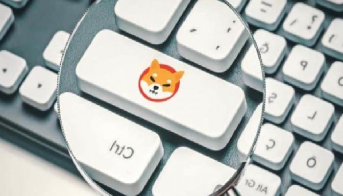 SHIB İçin Berbat Haber: Google Dataları Tabanları Gördü!