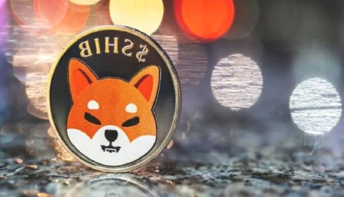 SHIB Mucidi, Bu Altcoin’e Dikkat Çekti: 3. Olmamalı!