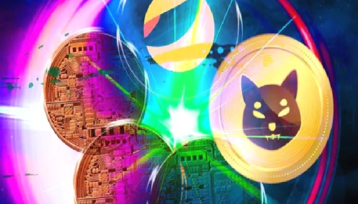 SHIB Mucidinden Kıymetli Açıklamalar: LUNA Üzere Olmayacağız!