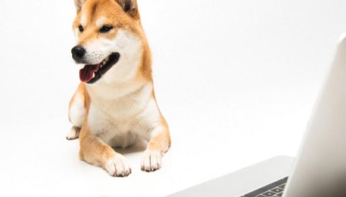 SHIB Muştuyu Verdi: Shiba Inu’dan Dev Ortaklık!