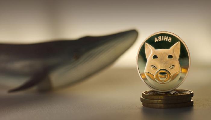 SHIB ve 5 Altcoin’e Dikkat: Balinalar ve Yatırımcılar Yükselişte!