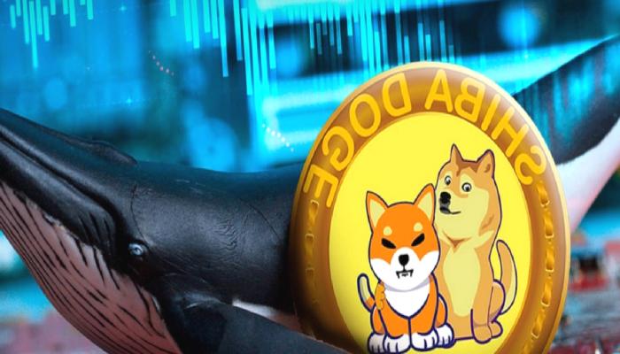 SHIB ve DOGE Balinalarının Zulaları Bu Altcoin’lerle Dolu