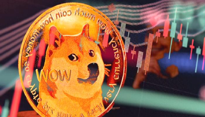 SHIB ve DOGE İddiası: Haftaya Bu Düzeyler Görülebilir!