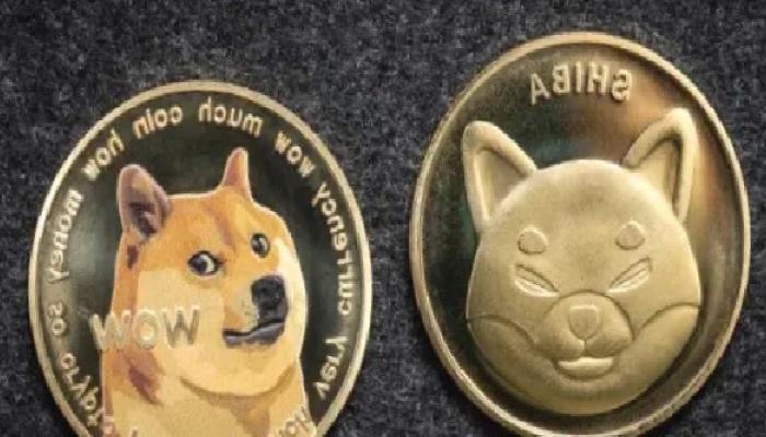SHIB ve DOGE: Kısa Vadede Bu Düzeylere Hazırlanın!
