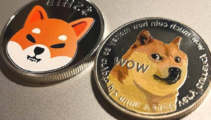 SHIB ve DOGE’dan 2 Kıymetli Müjde: İşte Ayrıntılar!