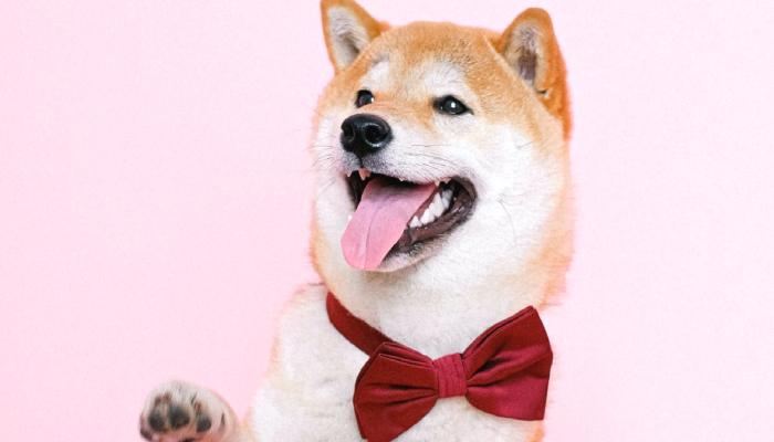 Shiba Inu Balinalarından Dev Ataklar: Bu Düzeyler Bekleniyor!