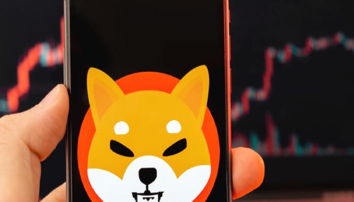 Shiba Inu Milyoneri Konuştu: 220 Milyon SHIB Kaybettim!