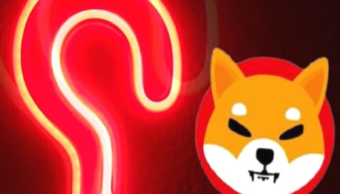 Shiba Inu Mucidi Duyurdu: Bugün Büyük Haber Gelebilir!