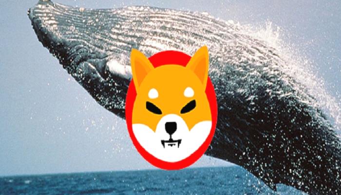 SHIB’i Bile Yendi: Balinalar, Bu Altcoin’e Atak Etti!