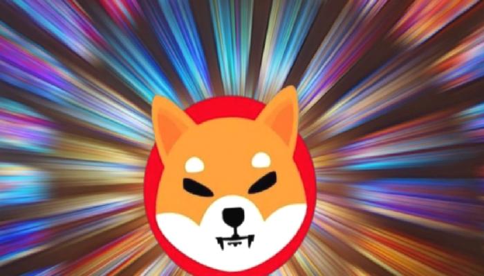 Shopping.io CEO’su Duyurdu: Büyük SHIB Haberi Geliyor!