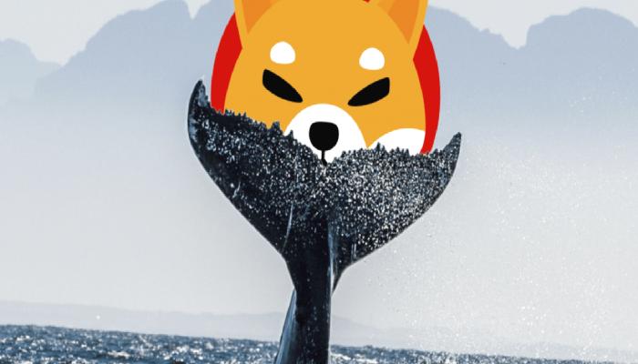 Tarihin En Büyük SHIB Süreci Binance’de: 20T Coin Gitti!