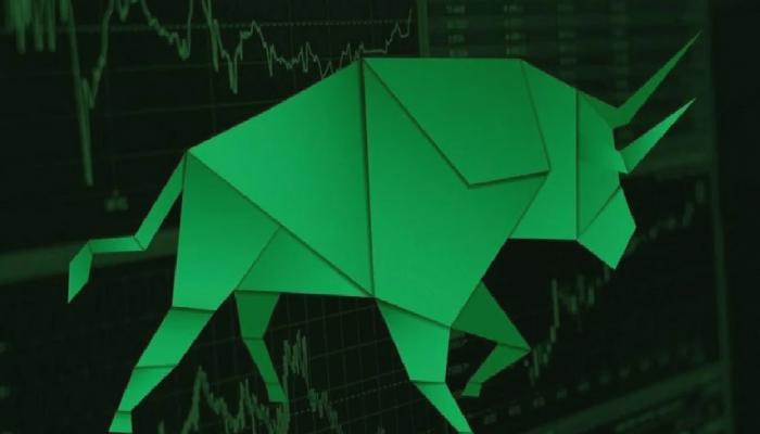 Tecrübeli Analist: Bu Altcoin’de Çılgınca Boğayım!
