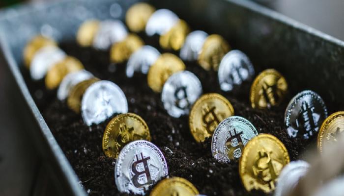 Usta Analist: Bitcoin O Düzeylere Düşecek! Garanti Ederim