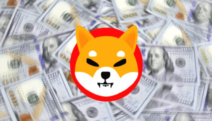 12 Ünlü Şirketin Bilançosunda SHIB Değil: Bu Altcoin Var!