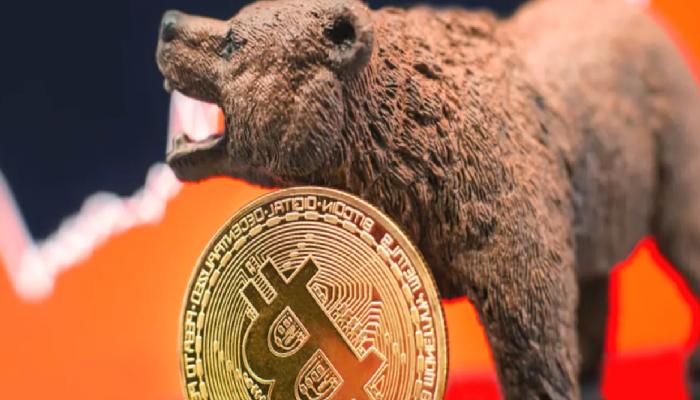 2 Ünlü Trader: Bitcoin Ayı Piyasası Yeni Başladı!