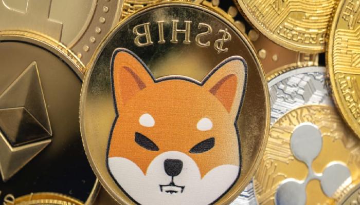 3 Analistten SHIB ve Bu 5 Coin İçin Kestirimler: Ralli Geliyor!