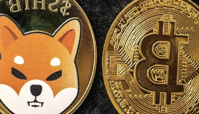 4 Analistten SHIB ve Bitcoin İddiaları: Bu Düzeyler Yakın!