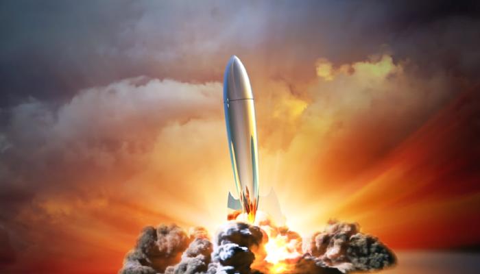 8 Ayı Piyasası Gören Efsane: Gelecek 12 Ayda Bu 3 Altcoin Parlayacak!