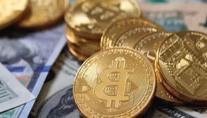 ABD’li 40 Şirket, Parasını Bu Altcoin’lere Park Etti!