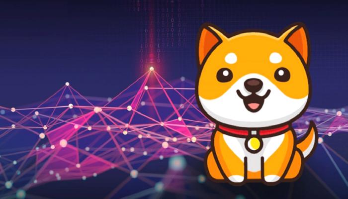 Baby Doge Testnet için Son Hazırlıklar