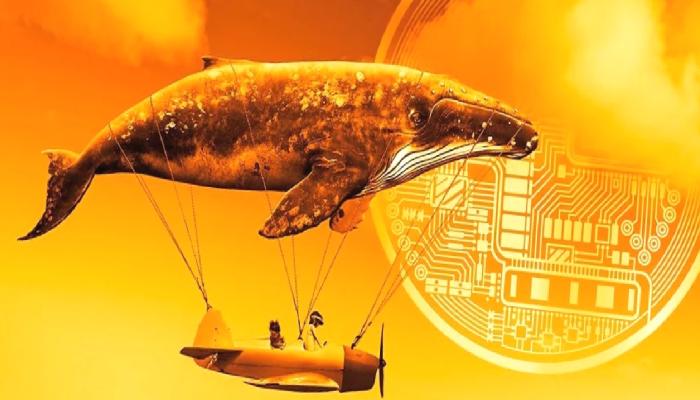 Balinalar Bu Altcoin’den Ayrılıyor: “Fiyat Düşebilir”