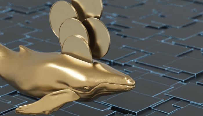 Balinaların Yeni Avları Bu Altcoin’ler: İşte Liste!