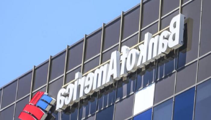 Bank of America: Bitcoin ve O 2 Altcoin Büyük Hareketlere Gebe!