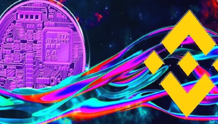 Binance Balinaları, SHIB Değil: Bu Altcoin’in Peşinde!