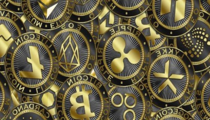 Bitcoin Düşerken Türkler Durmadı: Bu Altcoin’lere Koştu!