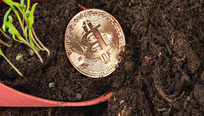 Bitcoin Düşüyor! Piyasada Son Durum – 23 Ağustos 2022