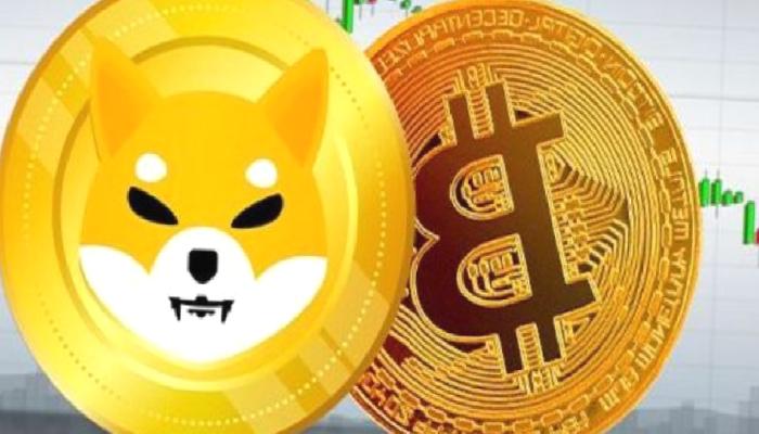 Bitcoin’in Her Adımını Bilen Analistten SHIB ve BTC Tahmini!
