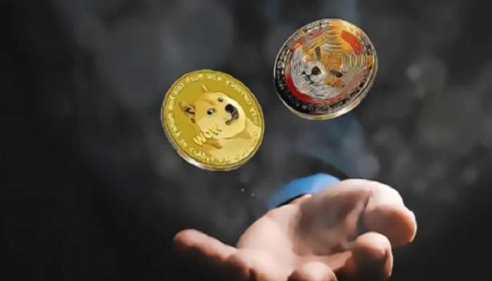 BTC, SHIB, DOGE ve Bu 7 Altcoin İçin Al-Sat Düzeyleri Çıktı!