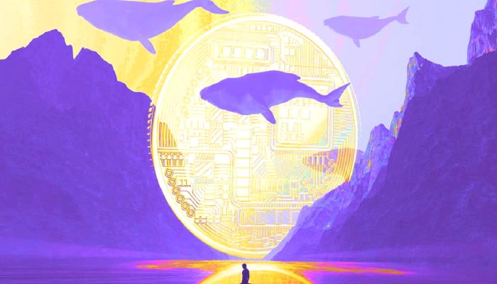 Bu Altcoin SHIB’i Devirdi: Dev Balinalar Artık Onu Alıyor! 