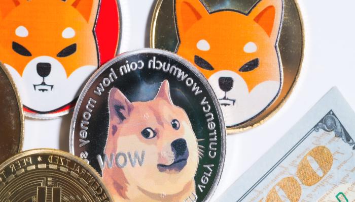 Bu SHIB ve DOGE Grafiğine Dikkat: Olacakları Sıralıyor!