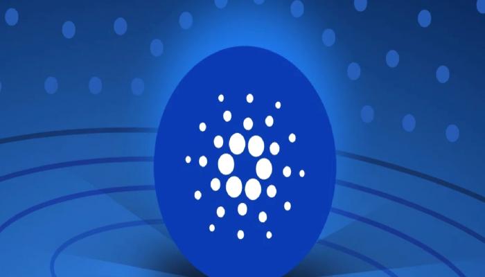 Cardano Balinaları Yüklü Ölçüde ADA Aldı