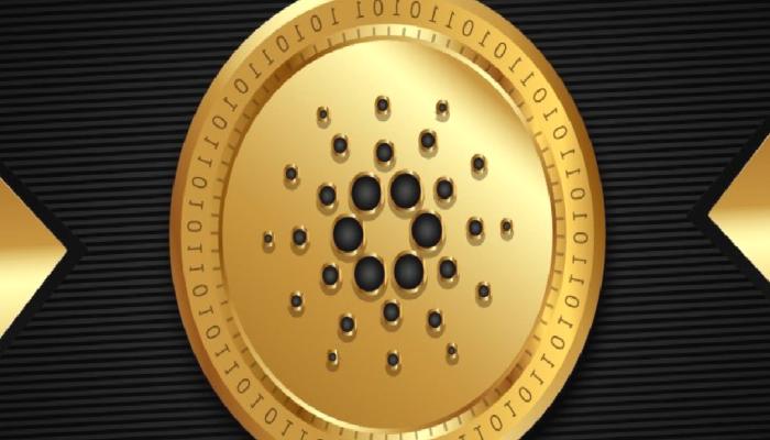 Cardano İşlem Sayısı 75 Binin Üzerine Çıktı