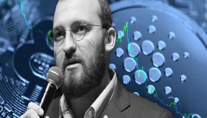 Cardano Mucidi, Kripto Piyasasını Yorumladı: ADA da Düştü!